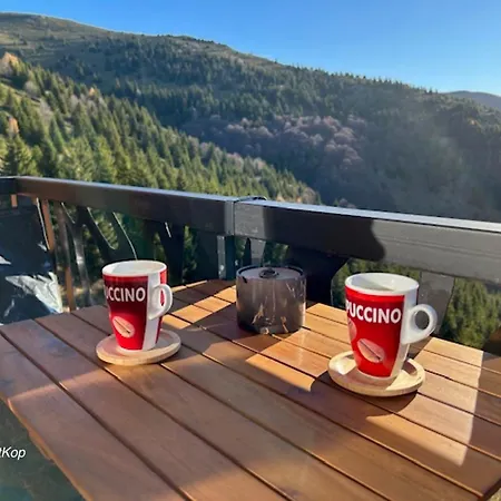 Golija Studiovetkop *