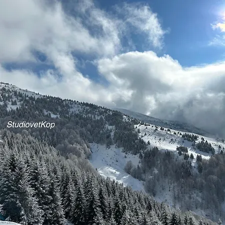 Golija Studiovetkop 아파트 카파오닉