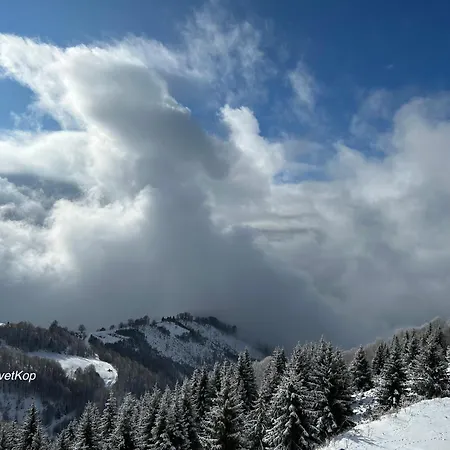 Golija Studiovetkop *