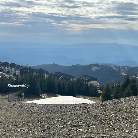 Golija Studiovetkop *