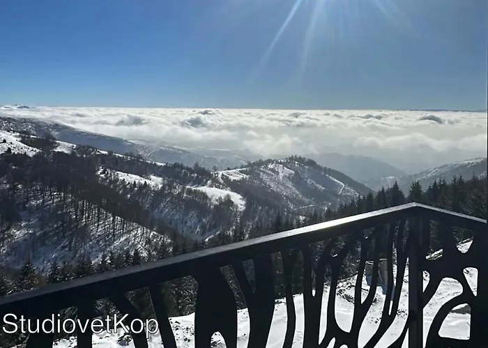 아파트 Golija Studiovetkop *