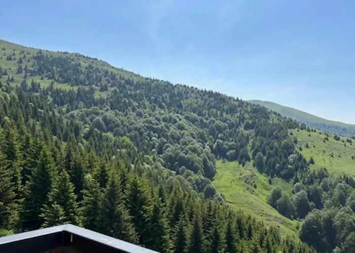 Golija Studiovetkop *