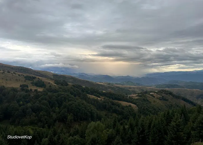 Golija Studiovetkop 카파오닉