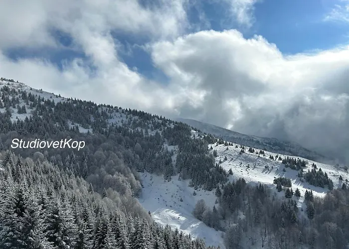 Golija Studiovetkop Apartman Kopaonik