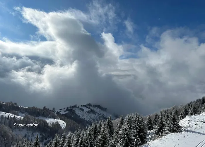 Golija Studiovetkop *