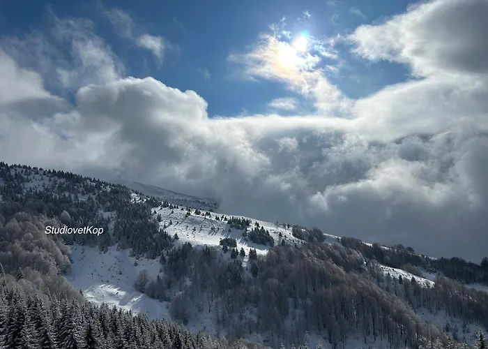 Apartman Golija Studiovetkop *