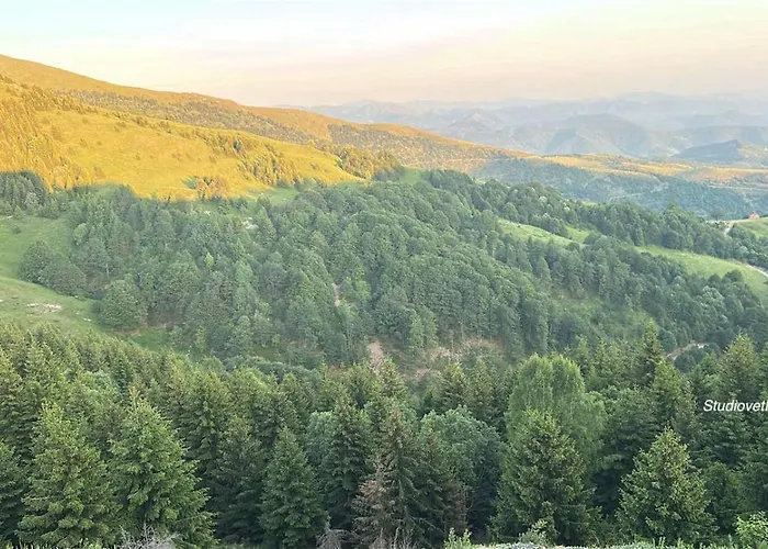 Golija Studiovetkop 아파트 카파오닉