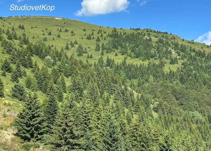 Apartman Golija Studiovetkop *