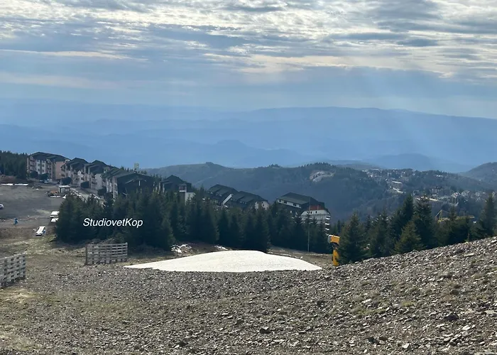 Golija Studiovetkop *